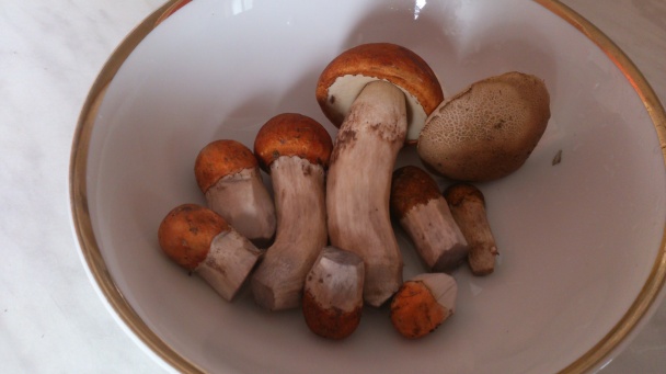 Morčacie s osikovcami a paprikou (fotorecept) - obrázok 1