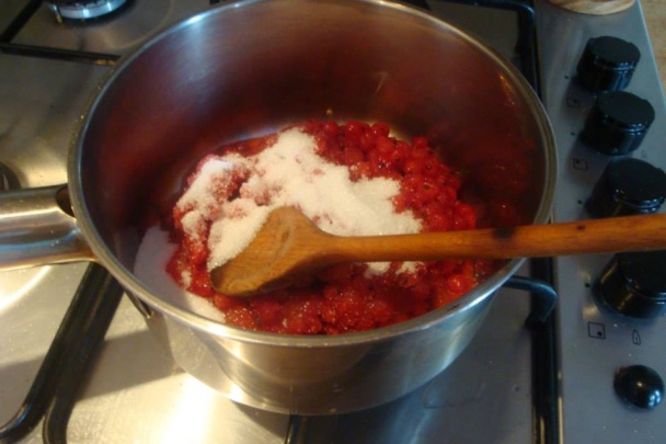 Karamelovo - ríbezlová Evík & Inguš (fotorecept) - obrázok 4