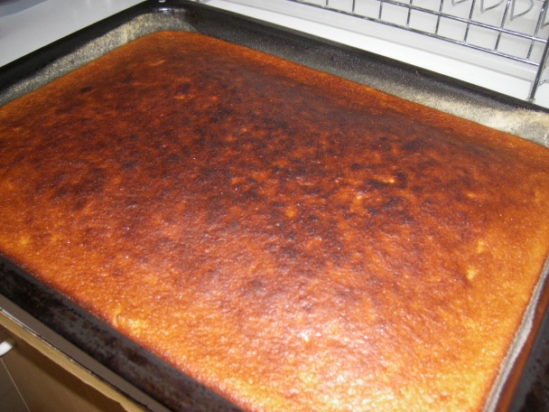 Jednoduchý marhuľový koláč - obrázok 6