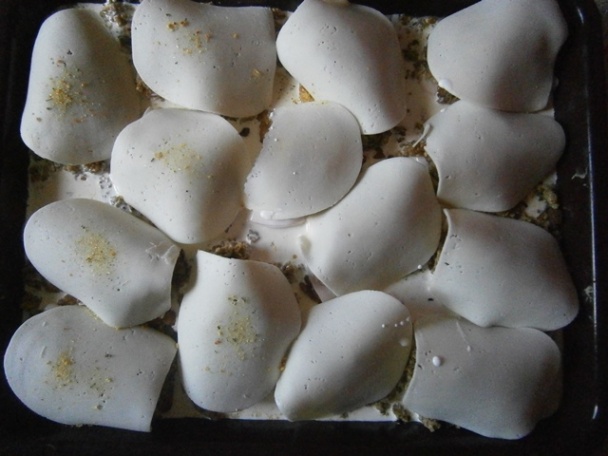 Kopčekové mäso (fotorecept) - obrázok 7