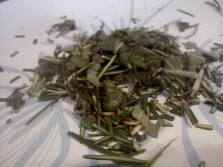 Bylinkové morčacie prsia s pečeným feniklom (fotorecept) - obrázok 2