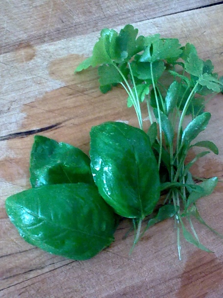 Hrášková omáčka  - obrázok 3