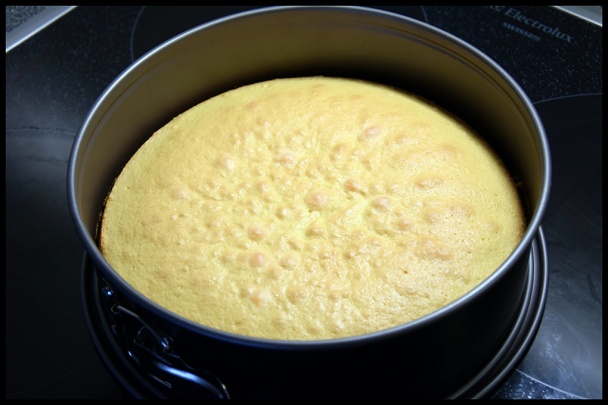 Môj šach-mat (fotorecept) - obrázok 4