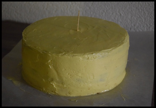 Môj šach-mat (fotorecept) - obrázok 24