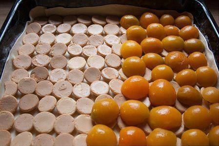 Marhuľové rezy - obrázok 1