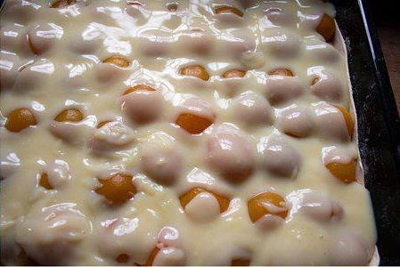 Marhuľové rezy - obrázok 2