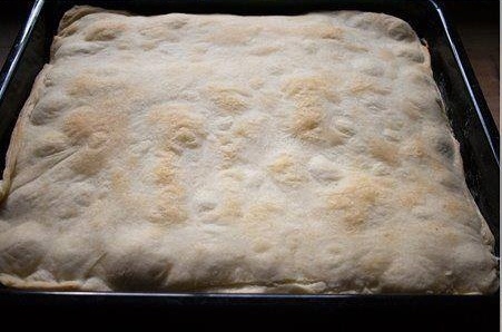 Marhuľové rezy - obrázok 3