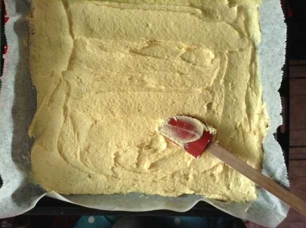 Donauwelle (fotorecept) - obrázok 2