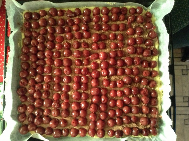 Donauwelle (fotorecept) - obrázok 4