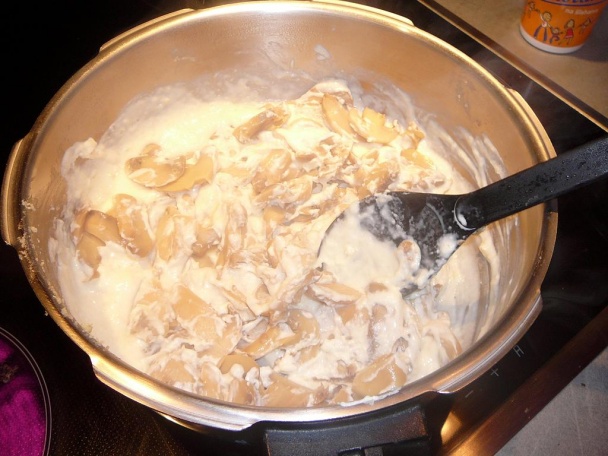 Úžasné lasagne - obrázok 2