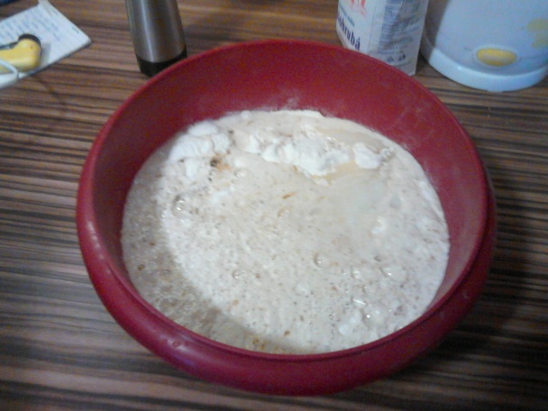 Chlebové praclíky (fotorecept) - obrázok 2