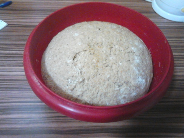 Chlebové praclíky (fotorecept) - obrázok 4