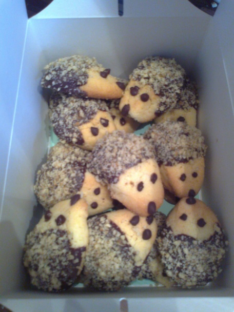 Ježkovia - keksíky - obrázok 6