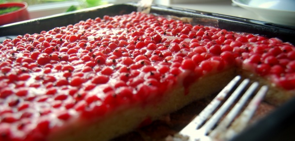 Ríbezľový chladený koláčik  - obrázok 4