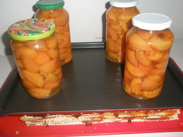 Oblátkové rezy od babičky (fotorecept)  - obrázok 11