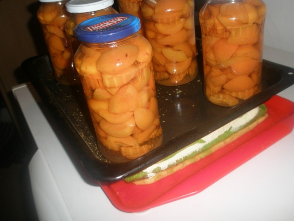 Pepermintové rezy (fotorecept) - obrázok 11