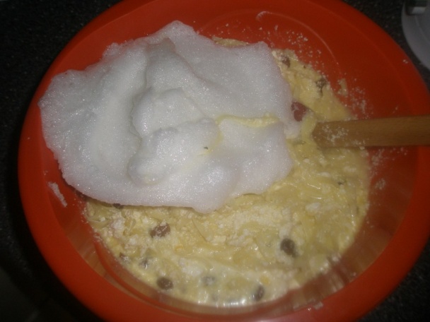 Varga béleš (fotorecept) - obrázok 4