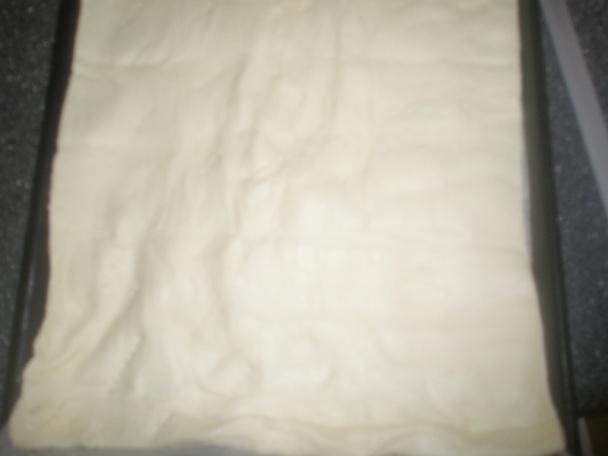 Varga béleš (fotorecept) - obrázok 6