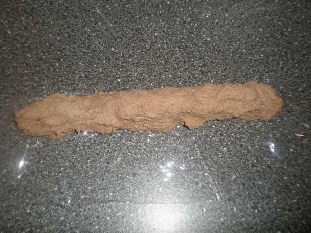 Gaštanový tunel so šľahačkou (fotorecept) - obrázok 3