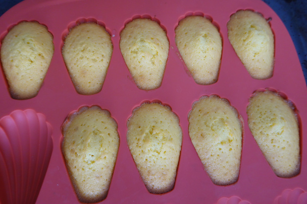 Madlenky (fotorecept) - obrázok 7