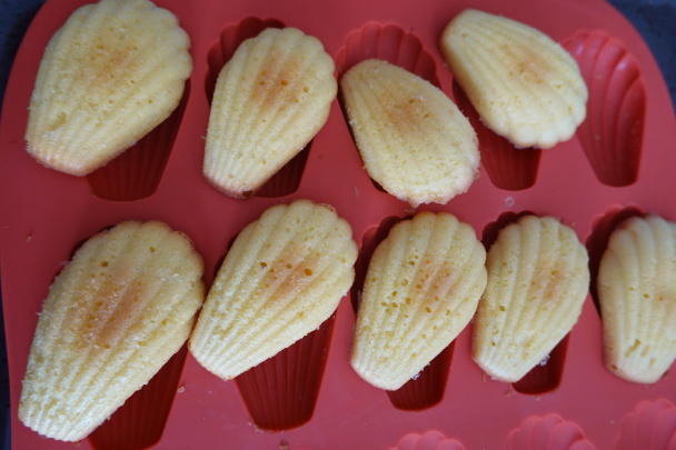 Madlenky (fotorecept) - obrázok 8