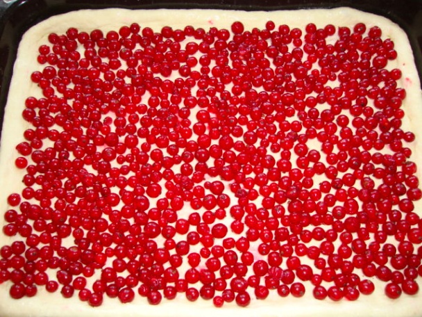 Ríbezľový kysnutý koláč (fotorecept) - obrázok 2