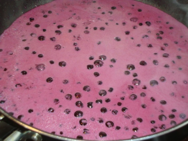 Kuracie medailónky s čučoriedkovo-smotanovou omáčkou  - obrázok 2