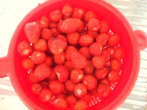 Tvarohová štrúdľa s jahodami (fotorecept) - obrázok 2