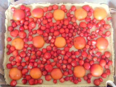 Ovocie pod tvarohovou prikrývkou - obrázok 3