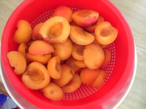 Marhuľový koláčik s polevou - obrázok 2