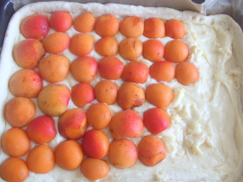 Marhuľový koláčik s polevou - obrázok 5