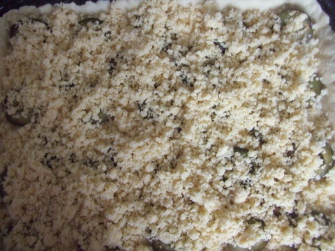 Obľúbený slivkový koláč (fotorecept) - obrázok 7