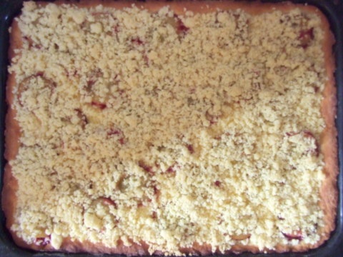 Obľúbený slivkový koláč (fotorecept) - obrázok 8