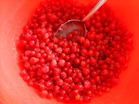 Sladučký ríbezľový koláčik (fotorecept) - obrázok 3