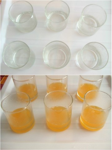 Panna Cotta s ovocnou čiapočkou (fotorecept) - obrázok 2