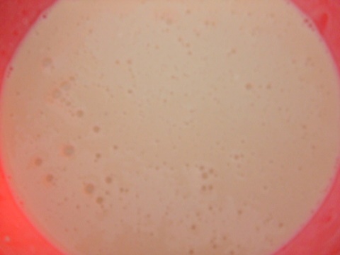 Gaštanové palacinky s dvojfarebnou prikrývkou (fotorecept) - obrázok 1