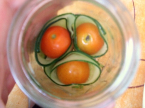 Sterilizované očká (fotorecept) - obrázok 3