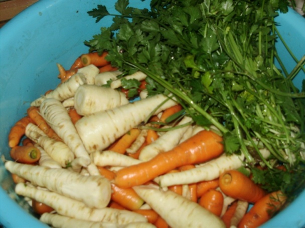 Koreňová zelenina v soli (fotorecept)   - obrázok 2