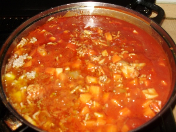 Lasagne so syrom (fotorecept) - obrázok 5