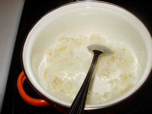 Kandizovaná pomarančová kôra (fotorecept) - obrázok 2