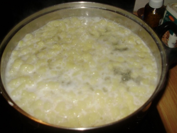 Halušky s bryndzou (fotorecept) - obrázok 5