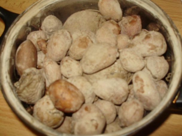 Ovocné knedlíky (fotorecept) - obrázok 1