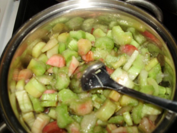 Rebarborový koláč polopečený (fotorecept) - obrázok 2