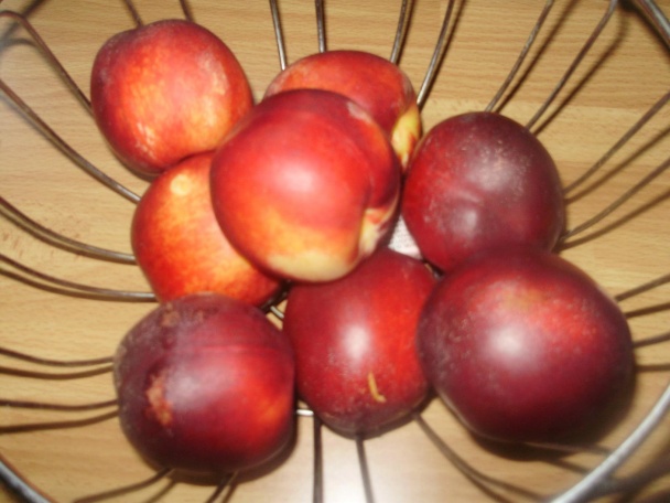 Nektarinkový koláčik (fotorecept) - obrázok 2