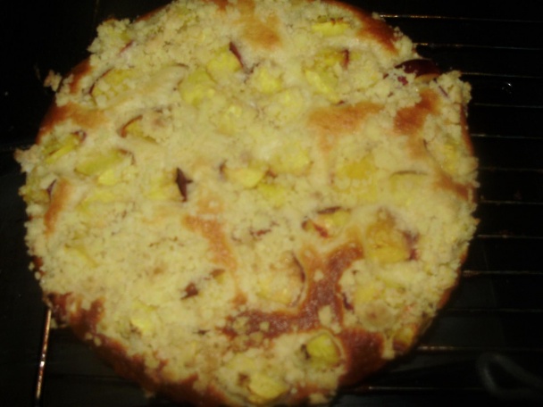 Nektarinkový koláčik (fotorecept) - obrázok 13