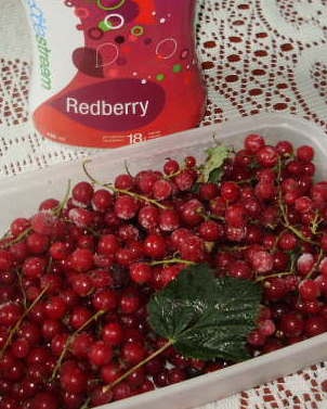 Ríbezľová želatínová piškóta (fotorecept) - obrázok 8