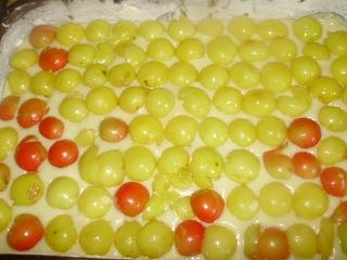 Mirabelkové rezy s pudingom (fotorecept) - obrázok 8