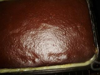 Mirabelkové rezy s pudingom (fotorecept) - obrázok 12