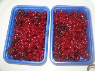 Chalupárske želé (fotorecept) - obrázok 7
