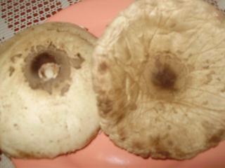 Bedľová pochúťka -jednohubka (fotorecept) - obrázok 1